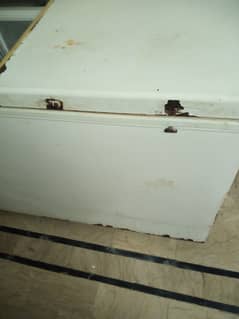 Waves 2door Freezer