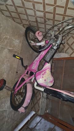 pink cycle