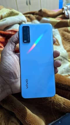 Vivo