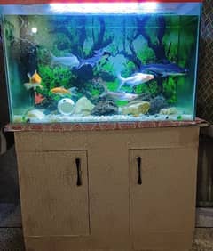 Aquarium