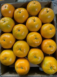 orange available in Karachi