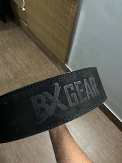 liver BX premium weight lifting belt