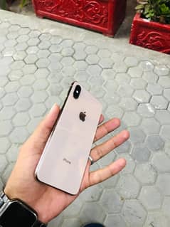 xs max