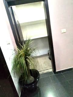 unfurnished apartment for rent (2 bed room with attached bath)