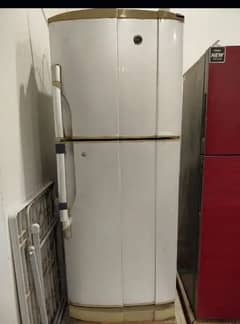 PEL Refrigerator 2 Door