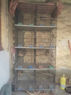 8 portion folding cage f. s