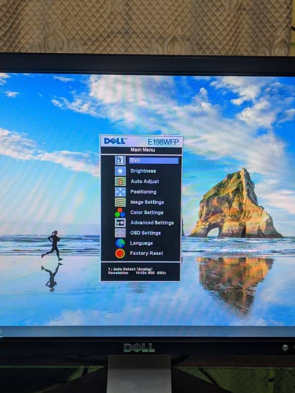 Dell Monitor 1