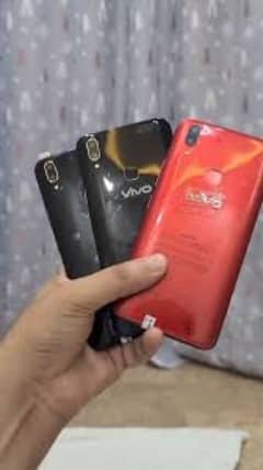 vivo