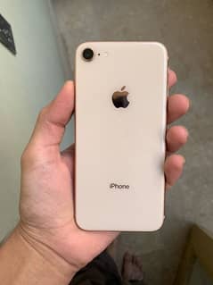 iPhone 8 pta approved