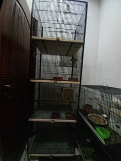 Birds Cage