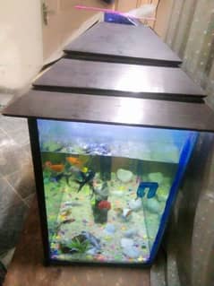 big size aquarium 4 sale