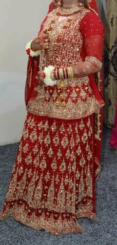 Barat Dress/ Bride dress/ Fancy Dress/ Sharara