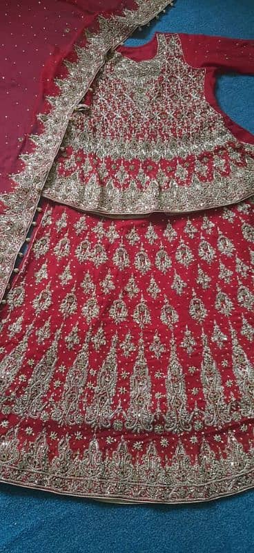 Barat Dress/ Bride dress/ Fancy Dress/ Sharara 2