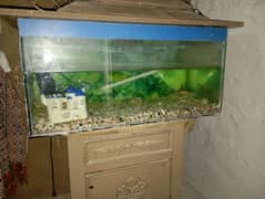 Large Size Aquarium