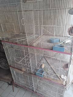 bird cage