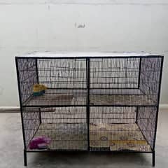 full setup for sale cocktail breeder pair loutino pair chick ka sate