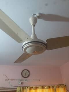 Fan (pankha)