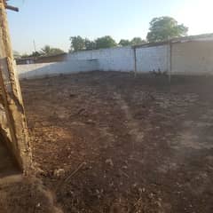 Cows shed available on rent