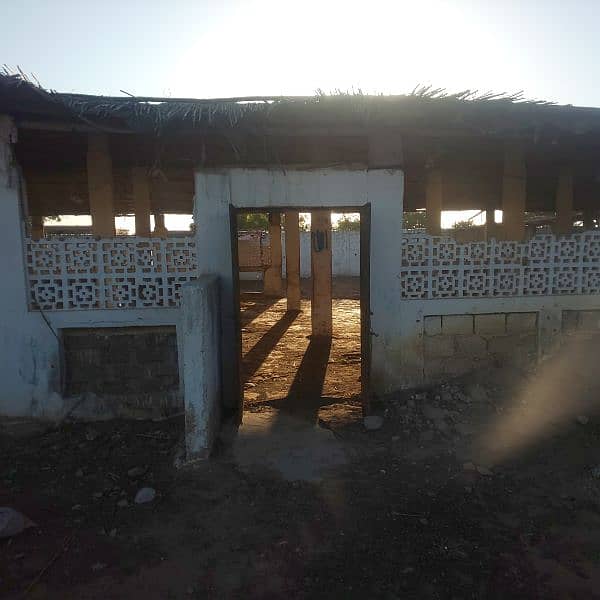 Cows shed available on rent 2