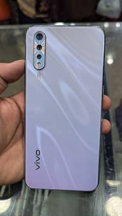 vivo