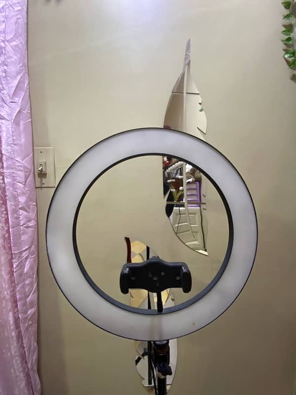 Ring light with stand 2