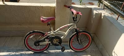 2 cycle for sale