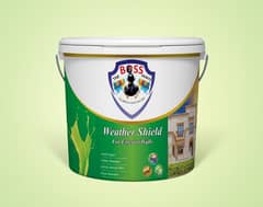 Berger Quality Destemper,Weather Shield,Wallputty