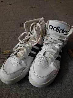 Adidas Entrap Mid White Gold