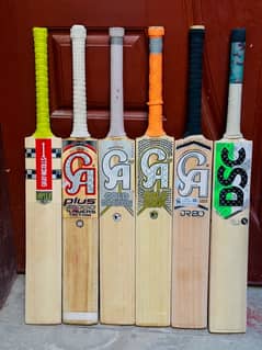 Cricket Bat