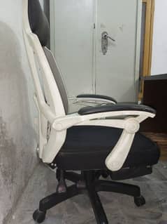 Office and Study Chair