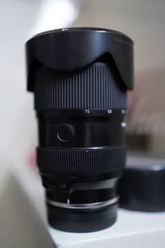 Tamron 28-75 G2