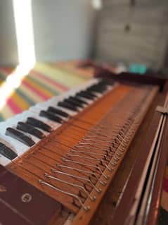 harmonium best price lahore