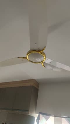 3 GFC Crescent Fans - 10/10 Condition Just Like New - 1 Pak Fan Old