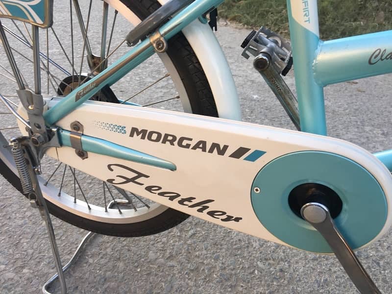 Morgan Feather 20”  Girl’s cycle 4