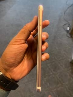 iPhone 7 plus PTA prove 256 GP