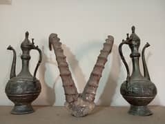 antique ibex horns