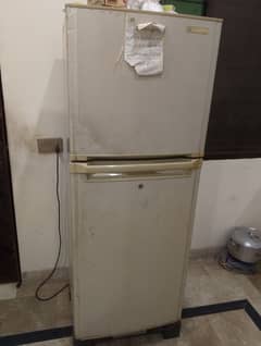 orient company freezer