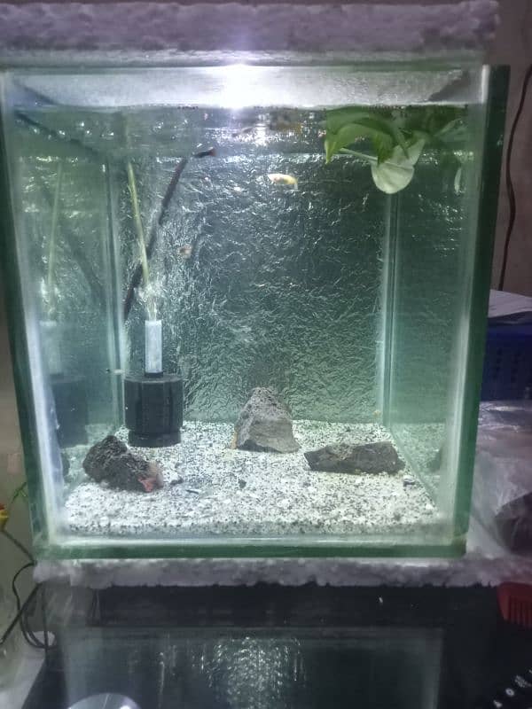 aquarium for sale 3