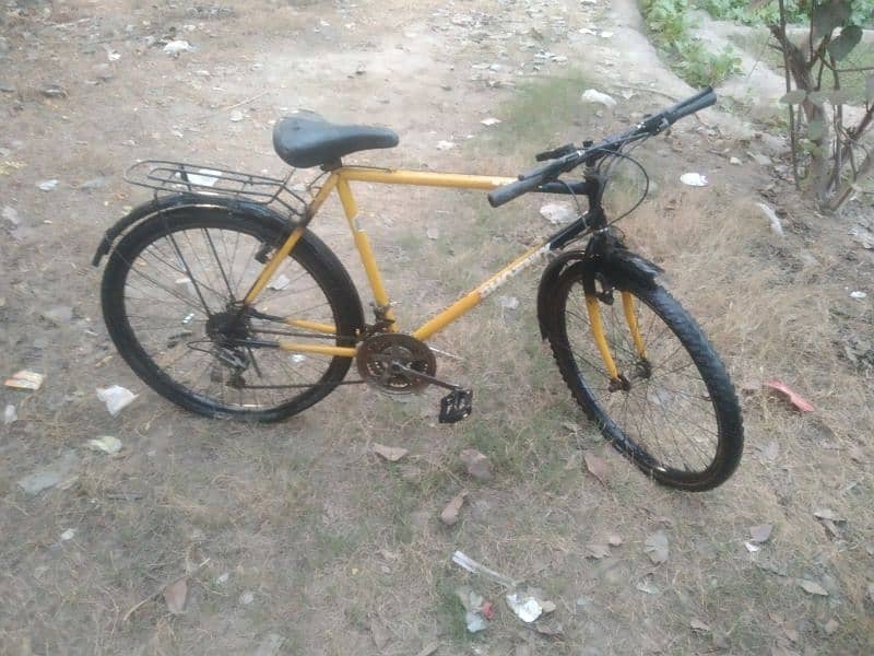 Phoenix brand gear bicycle for sale . 1