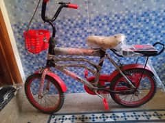 Bicycle for kids