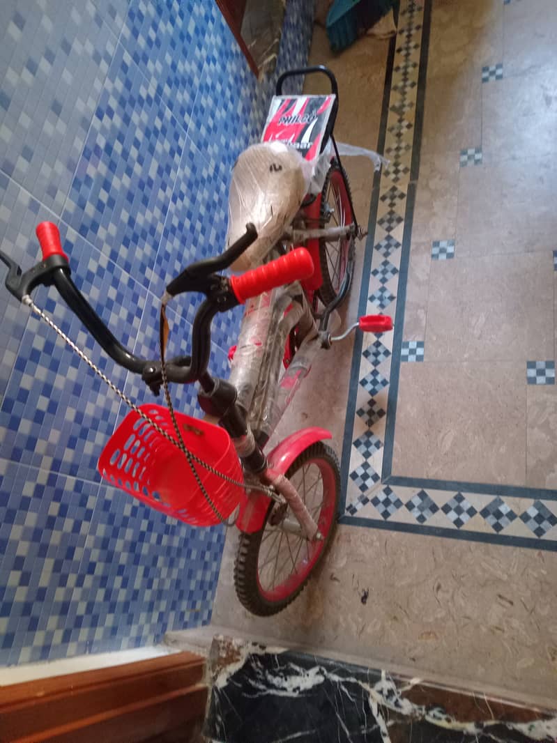 Bicycle for kids 2