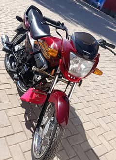 Honda Pridor 100CC 2022 Model