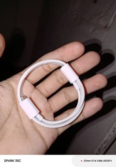 apple original Cable type c to type c