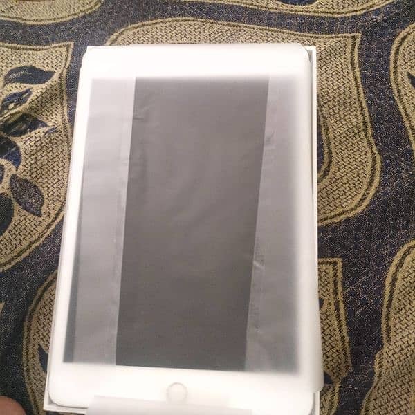 iPad mini 5 0