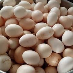 Per Egg  35Rs.  Per Dozen 420.1tray 1050