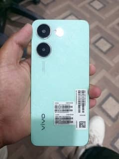 vivo