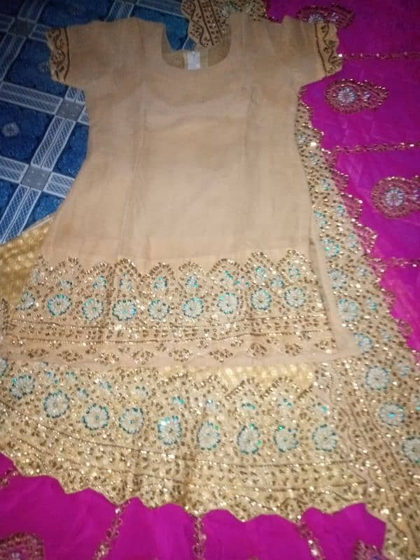 Bridal sharara 4 sale 2