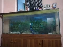 5ft aquarium for sale