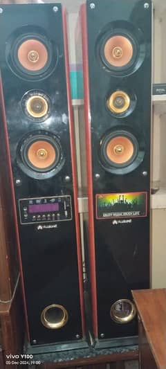 Audionic