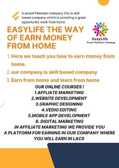 Earn from home